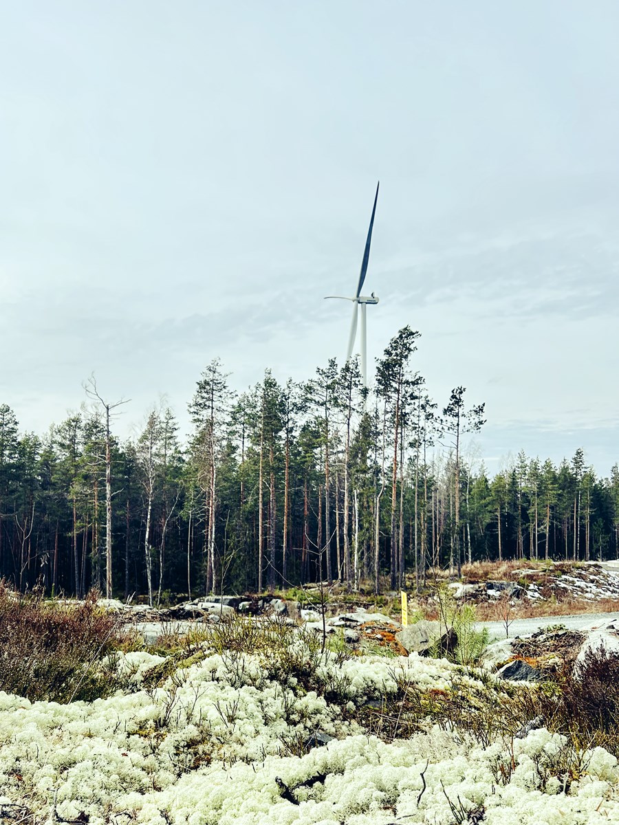 Image00029